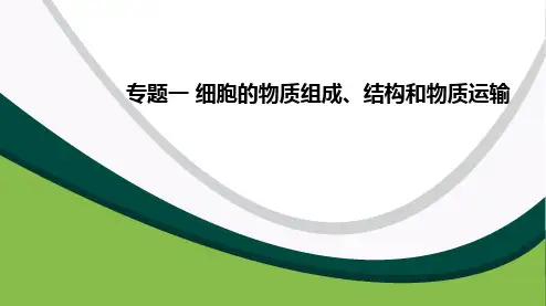 专题一 细胞的物质组成、结构和物质运输-2023年高考生物二轮复习课件(新教材专用)