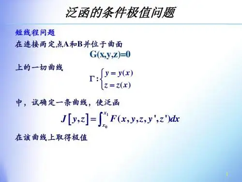 CH4泛函的条件极值问题
