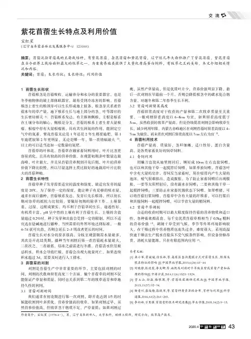 紫花苜蓿生长特点及利用价值