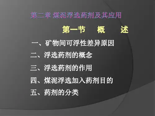 浮游选矿课件2.1