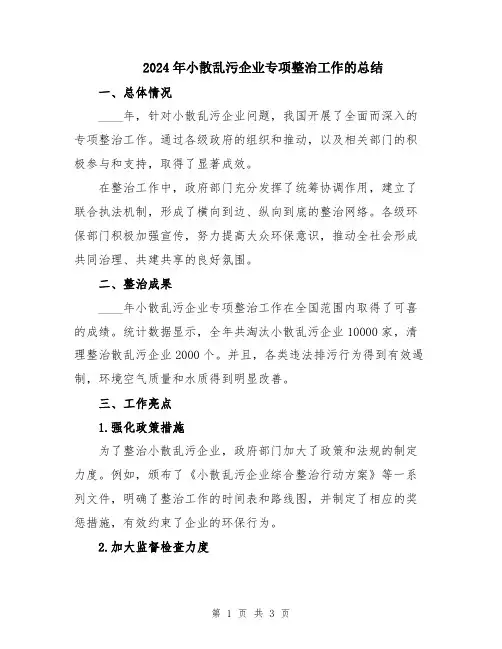 2024年小散乱污企业专项整治工作的总结