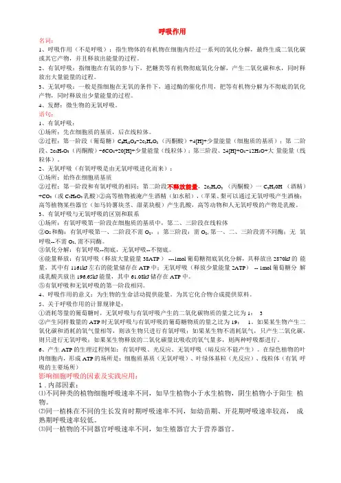 呼吸作用知识点总结