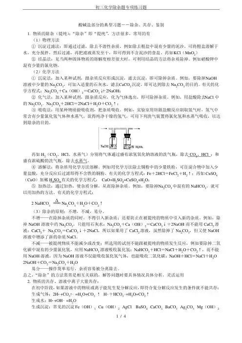 初三化学除杂题专项练习题