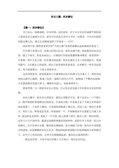 作文三篇：回乡游记