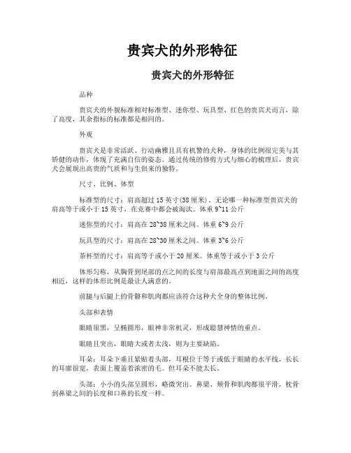 贵宾犬的外形特征