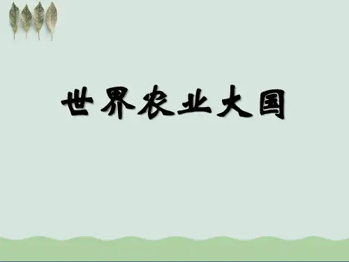 《世界农业大国》PPT课件