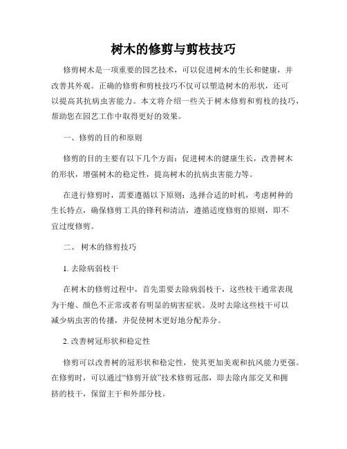 树木的修剪与剪枝技巧
