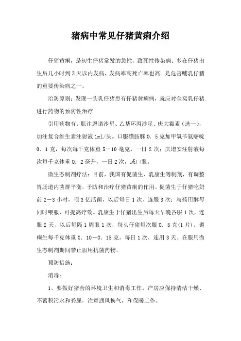 猪病中常见仔猪黄痢介绍