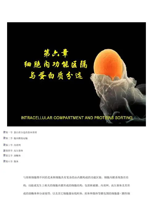 第六章：细胞内功能区隔与蛋白质分选