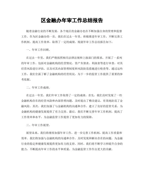 区金融办年审工作总结报告