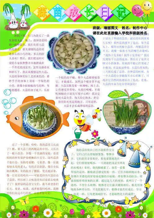 蒜苗成长日记A4植物生长观察电子小报成品科学在我身边手抄报科普知识简报自然模板动植物知识板报科学画报