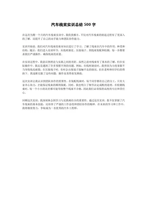 汽车线束实训总结500字