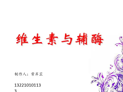 维生素与辅酶
