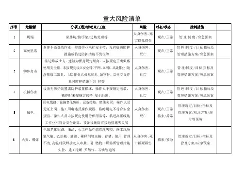 重大风险清单