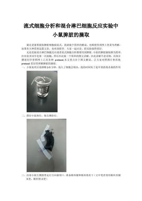 流式细胞分析和混合淋巴细胞反应实验中小鼠脾脏的摘取(图文解说)