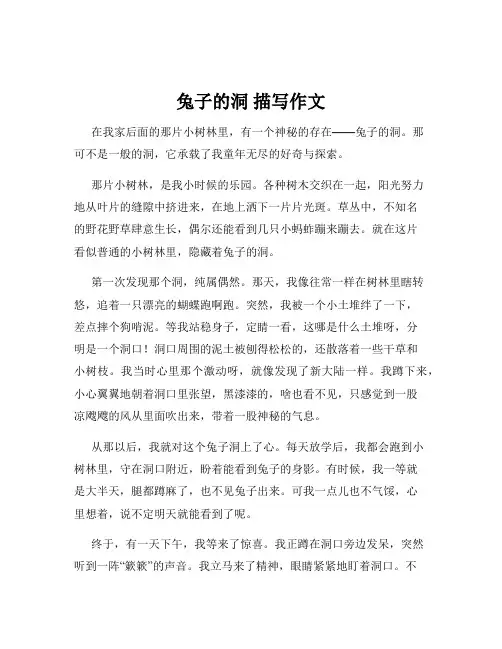 兔子的洞 描写作文