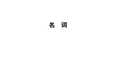 人教PEP版英语六年级下册小升初复习《名词》(课件)
