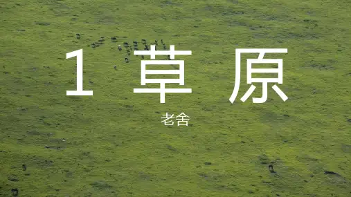 六年级上册《草原》课件(共27张PPT)