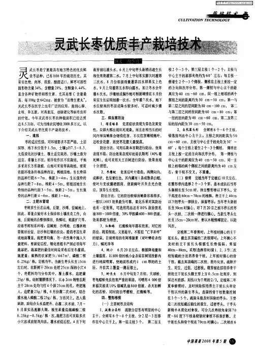 灵武长枣优质丰产栽培技术
