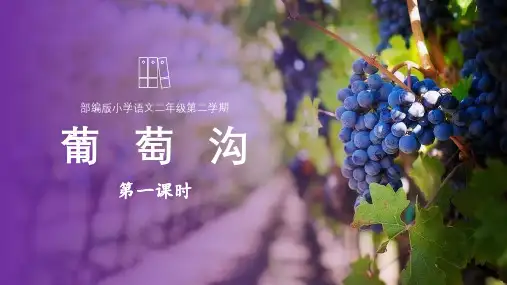 统编版语文二年级上册11《葡萄沟》(课件)