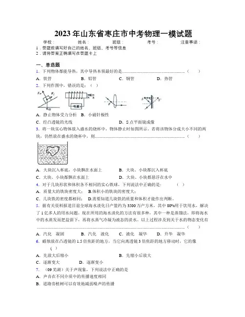 2023年山东省枣庄市中考物理一模试题及解析