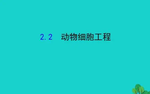 高考生物一轮复习专题2细胞工程2动物细胞工程课件新人教选修3