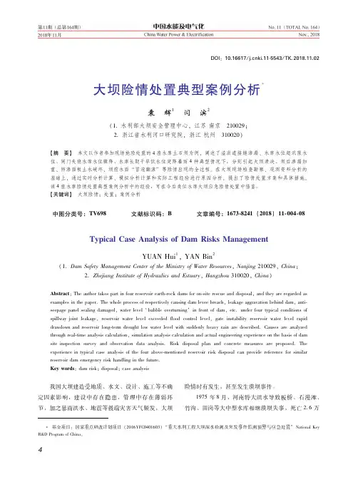 大坝险情处置典型案例分析