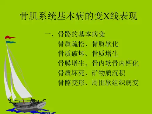 骨关节基本病变ppt精品医学课件