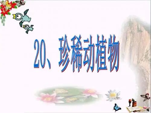 六年级科学上册珍稀动植物精选教学PPT课件2青岛版