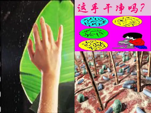 苏教版初中生物八年级上册  5.14.3 神奇的微生物 课件