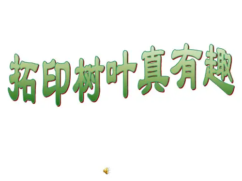 拓印树叶真有趣  ppt课件