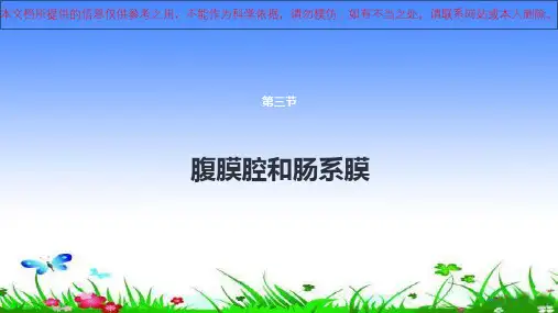 消化系统与腹膜腔腹膜腔和肠系膜培训课件