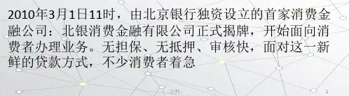 消费贷款五大意外论述.pptx