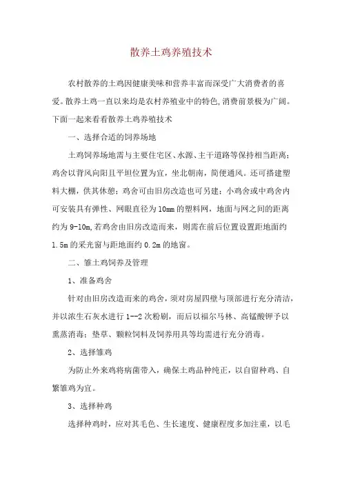 散养土鸡养殖技术