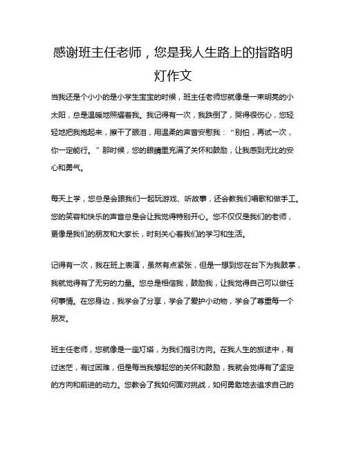 感谢班主任老师,您是我人生路上的指路明灯作文