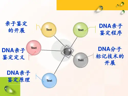 生物学DNA亲子鉴定