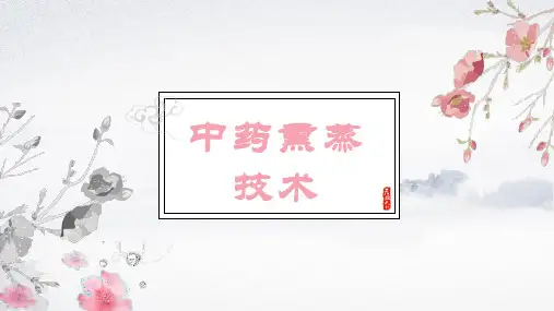 中药熏蒸技术