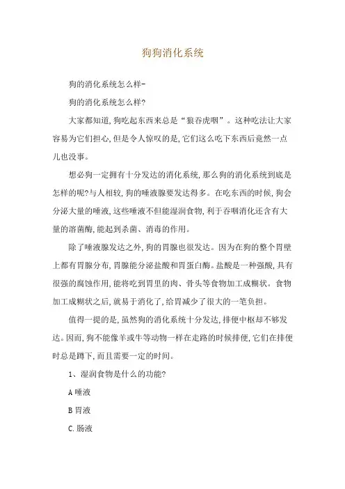 狗狗消化系统