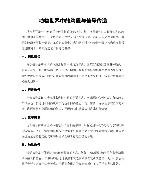 动物世界中的沟通与信号传递