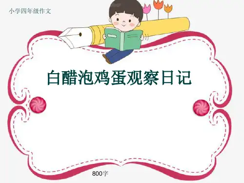 小学四年级作文《白醋泡鸡蛋观察日记》800字(共11页PPT)