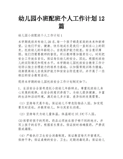 幼儿园小班配班个人工作计划12篇