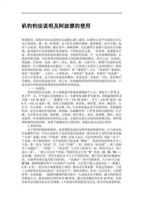矶钓钓法说明及阿波漂的使用