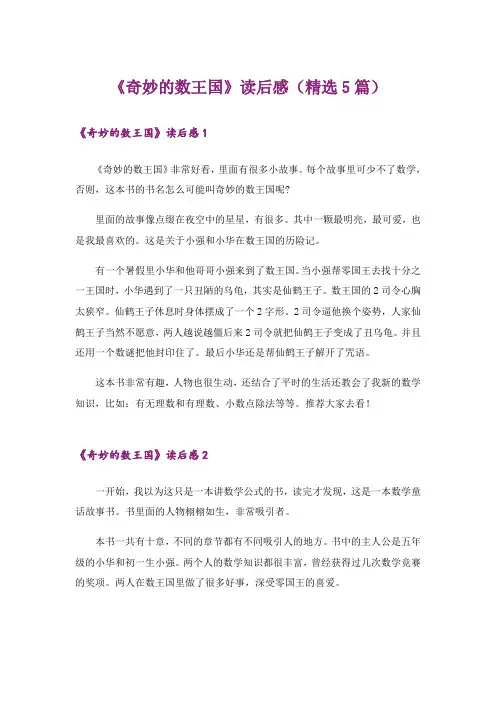 《奇妙的数王国》读后感(精选5篇)