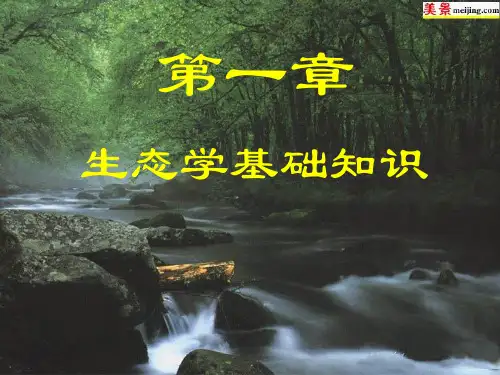 环境保护与可持续发展生态学基础知识.pptx