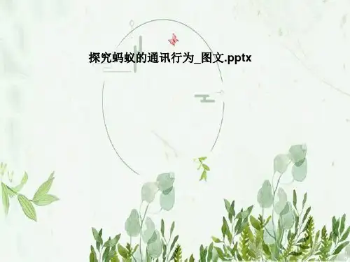 探究蚂蚁的通讯行为_图文