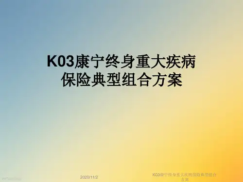 K03康宁终身重大疾病保险典型组合方案