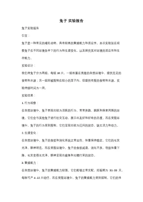 兔子 实验报告