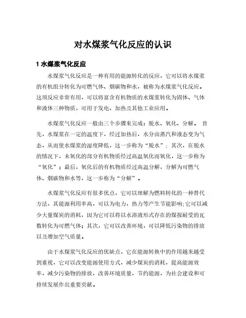 对水煤浆气化反应的认识