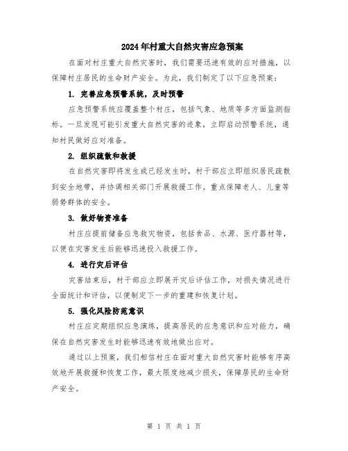 2024年村重大自然灾害应急预案