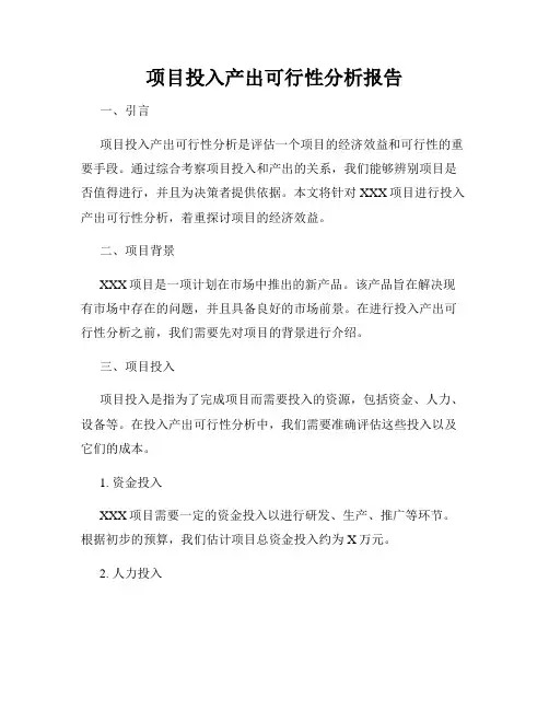 项目投入产出可行性分析报告
